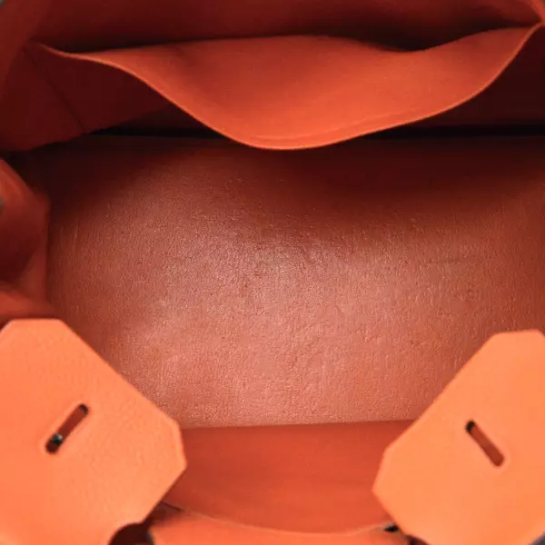 32hermes-birkin-orangeg