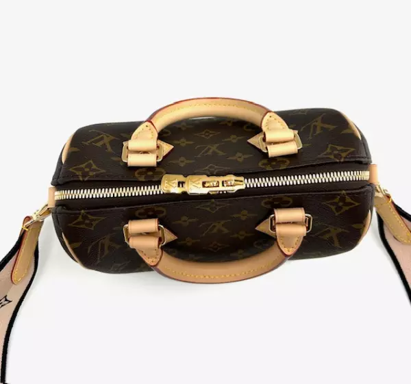 137-louis-vuitton-speedy-20-e