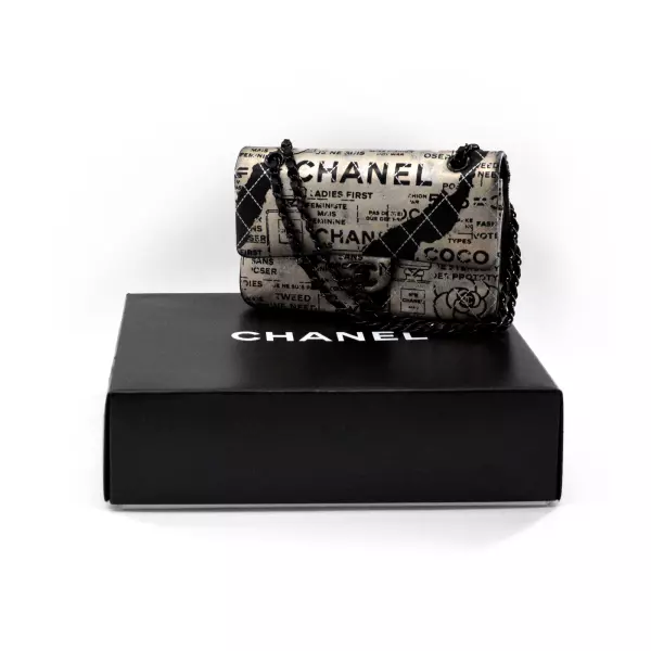 26chanel-sac-timeless-grapha